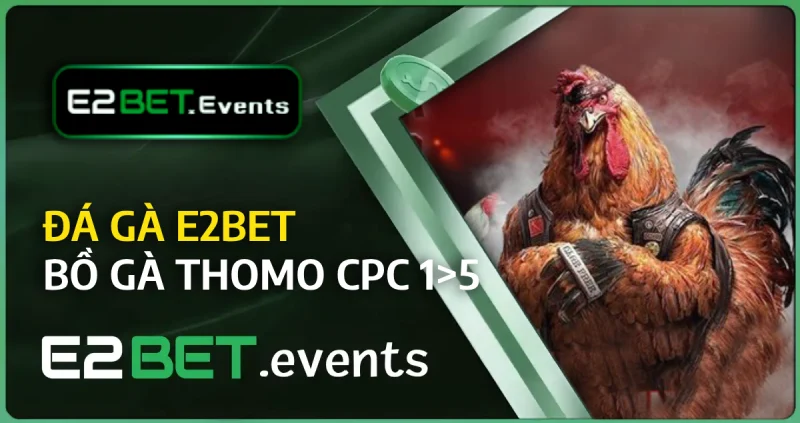 Tổng hợp Đá gà trực tiếp phát mỗi ngày tại e2bet