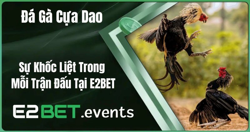 Tìm hiểu đặt điểm của đá gà Thomo E2BET