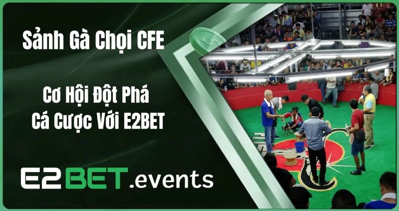 Sảnh gà chọi CFE – Cơ hội đột phá cá cược với E2BET