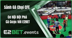 Sảnh Gà Chọi CFE – Cơ Hội Đột Phá Cá Cược Với E2BET