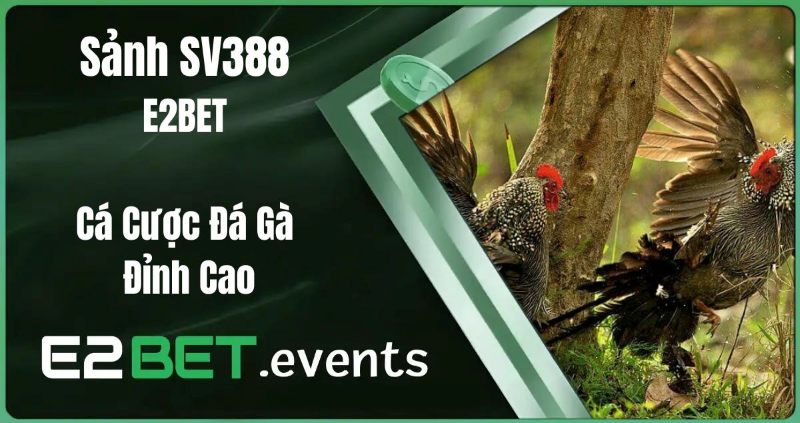Sảnh SV388 - Đỉnh cao của đá gà trực tuyến