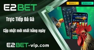 Trực Tiếp Đá Gà – Cập Nhật Mới Nhất Hằng Ngày Tại E2BET