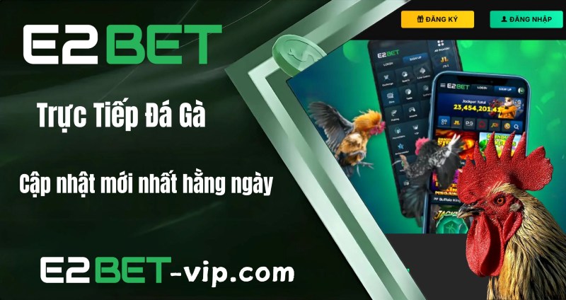 Tìm hiểu thêm đá gà trực tiếp tại E2Bet